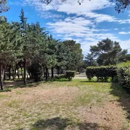 Le Pinada - Maeva Campingplads Fabrezan